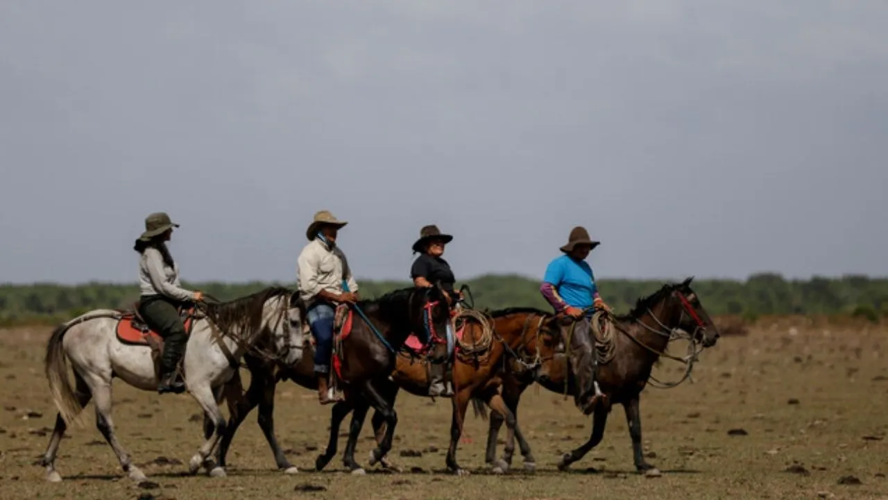 Safari Llanero en Colombia, una aventura imperdible del turismo en Casanare Safari Llanero: una experiencia inolvidable para los amantes del turismo en Colombia