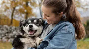 ADOPCIÓN RESPONSABLE Guía esencial: cinco consejos para una adopción responsable de mascotas