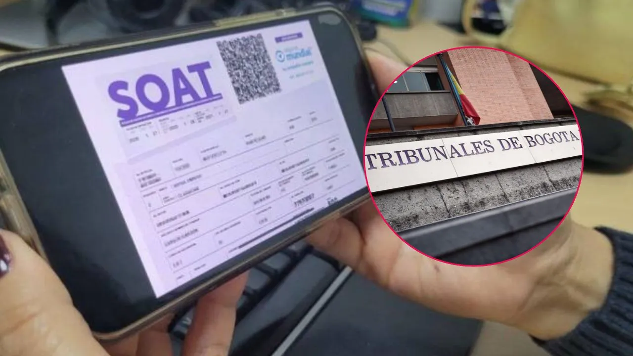 Adquirir el SOAT por medios virtuales debe estar garantizado No caiga en estafas: la decisión judicial que protege a quienes compran el SOAT por medios virtuales