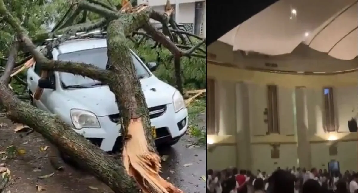 Aguacero en Ibagué hoy Caos en Ibagué por fuerte aguacero hoy: techo del Teatro Tolima está en riesgo, hay árboles caídos