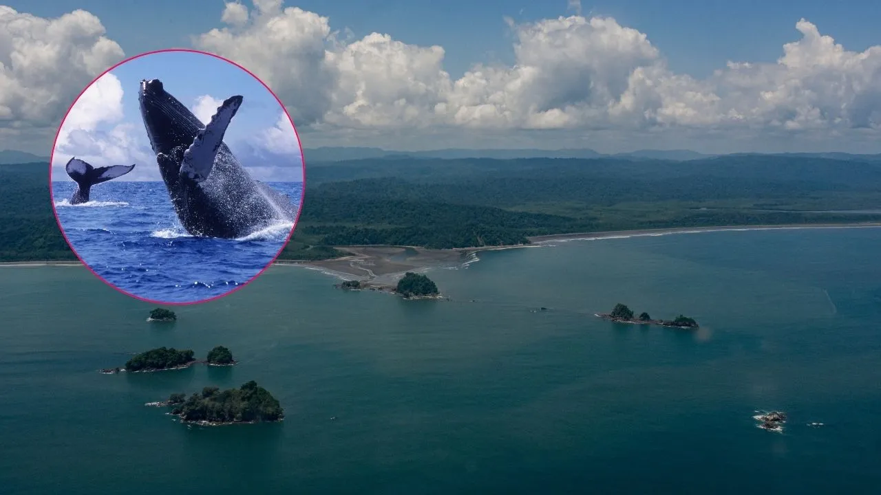 Alerta tsunami Chocó Finalizó la alerta de tsunami en departamentos del pacífico colombiano
