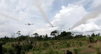 Antinarcóticos hará plan piloto de aspersión aérea con glufosinato en Putumayo. ¿Por qué Putumayo será el escenario del plan piloto de aspersión aérea con glufosinato de amonio?