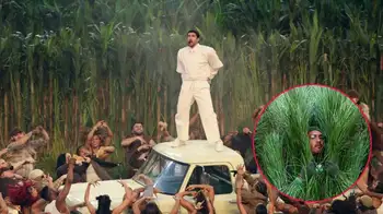 Arbusto humano en show de Bad Bunny ¿Ser 'arbusto humano' vale la pena? Esto ganaron los bailarines disfrazados en el show de Bad Bunny en el Super Bowl