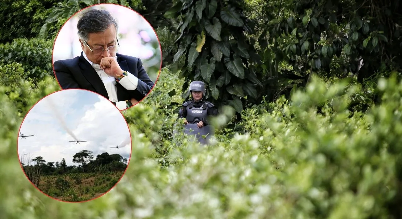 Aspersión aérea con glifosato Debate: Las razones de volver a la fumigación aérea en cultivos ilícitos