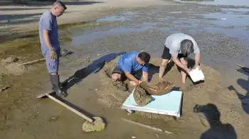 Bajan las aguas del Danubio en Hungría y emerge un barco hundido. Histórica sequía en el río Danubio deja visibles huesos de mamut en Bulgaria