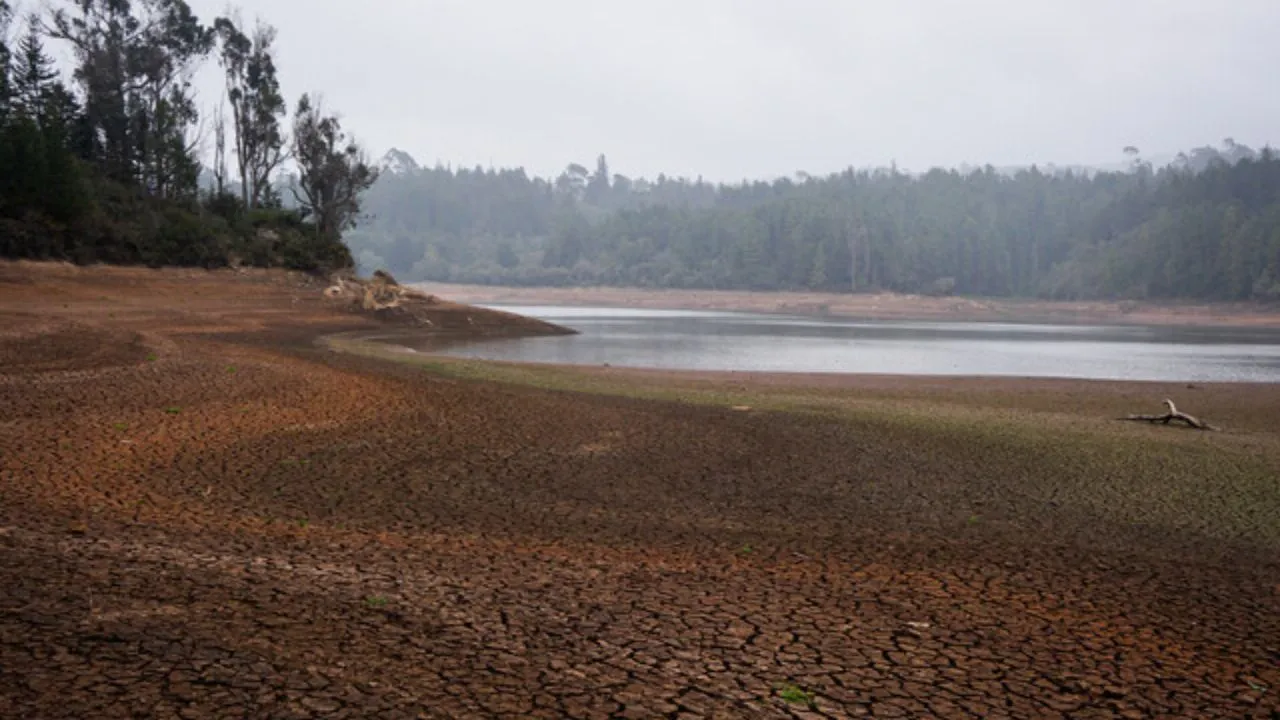 Bogotá se enfrentará a una de las olas de calor más fuertes de los últimos años. ¿Hay suficiente agua en Bogotá para afrontar el Fenómeno de El Niño?: Esto dice la CAR