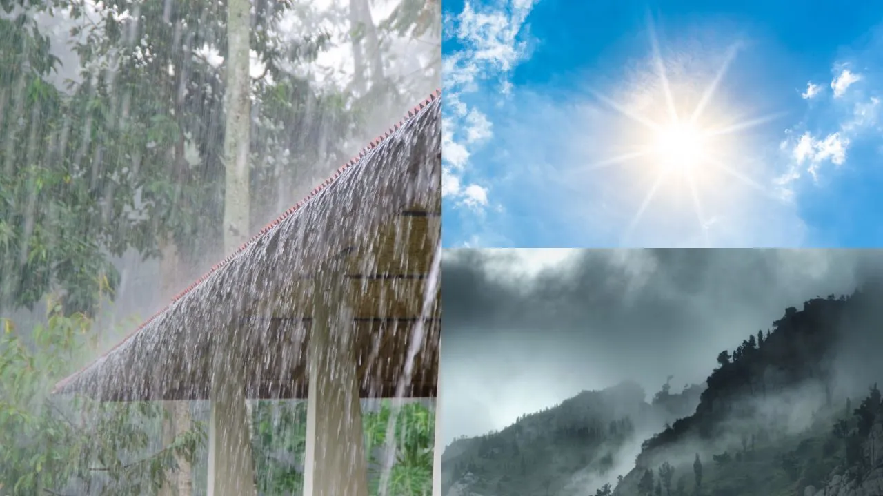 Cabañuelas 2026: método tradicional para predecir el clima Cabañuelas 2026: ¿cómo funciona el ritual de enero para leer el clima?