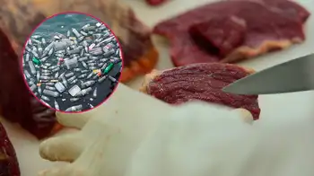 Carne sometida a análisis en laboratorio y restos de plásticos en cuerpos de agua. Hallan en Manizales restos de microplásticos en vísceras de res, cerdo y pollo