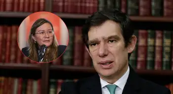 Caso Rusinque Análisis: ¿por qué las decisiones que tomó Rusinque podrían ser demandadas?