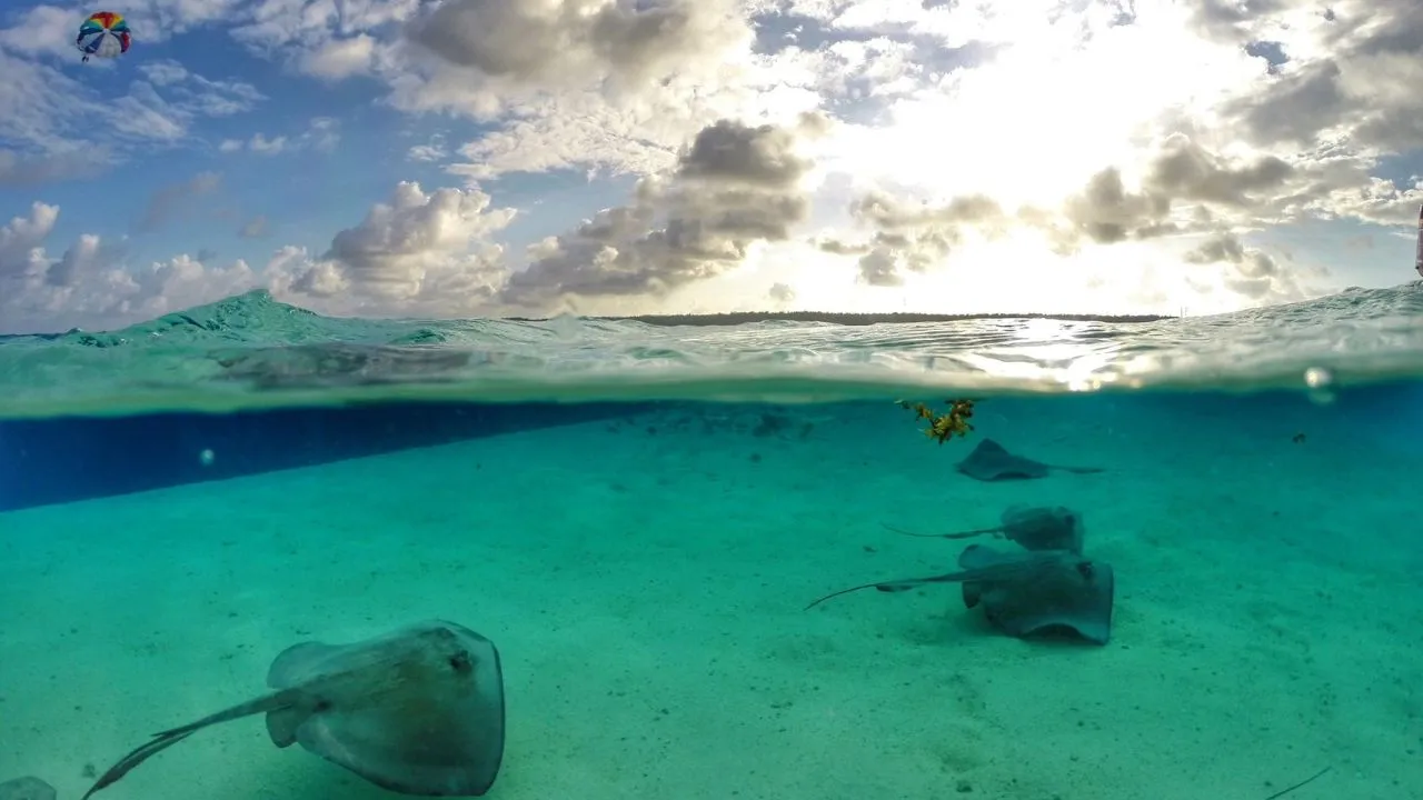Cayo Acuario San Andrés pierde temporalmente uno de sus cayos más visitados por daños ambientales