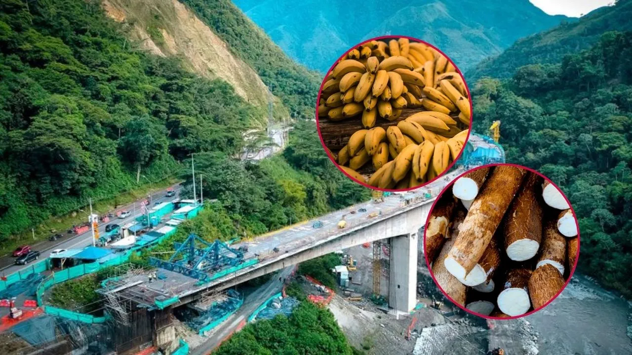 Cierre vía al Llano: precios de alimentos, abastecimiento y medidas de MinTransporte Cierre de la vía al Llano: ¿qué pasará con el abastecimiento y los precios de los alimentos?