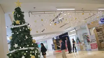 Consejos para usar el dinero de la prima de Navidad ¿Qué hacer con el pago de la prima en Navidad?