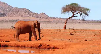 Corteza terrestre del Rift de Turkana, en Kenia, mide 12,7 kilómetros en su eje. Geólogos midieron en 13 kilómetros la corteza terrestre por donde África se está partiendo en dos