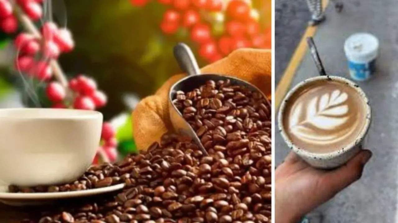 Dos cafeterías colombianas conquistan el ranking mundial de café 2026. ¿Qué cafeterías colombianas están entre las 100 mejores del mundo en 2026?