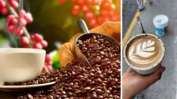 Dos cafeterías colombianas conquistan el ranking mundial de café 2026. ¿Qué cafeterías colombianas están entre las 100 mejores del mundo en 2026?