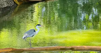 Ecopetrol invierte en recuperación ambiental en Magdalena Medio Ecopetrol invierte $100 mil millones en recuperación ambiental en el Magdalena Medio