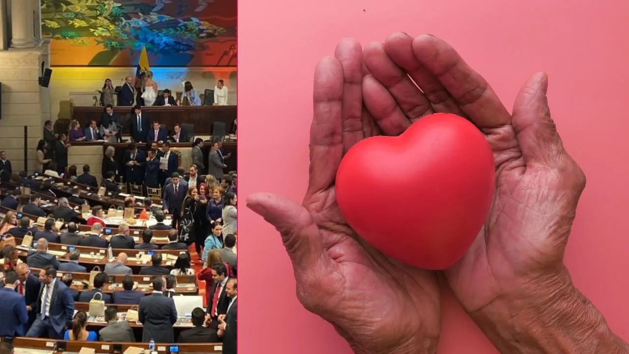 El Congreso aprobó la conciliación de la iniciativa, por lo que ya tiene el visto bueno ¿Cambiará la donación de órganos? Congreso aprobó la ley denominada 55 vidas