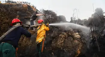 El Niño podría ser uno de los más fuertes desde 1950, alertó la ONU este jueves. ONU advierte que El Niño podría ser uno de los más fuertes desde 1950: esto pasará en Colombia
