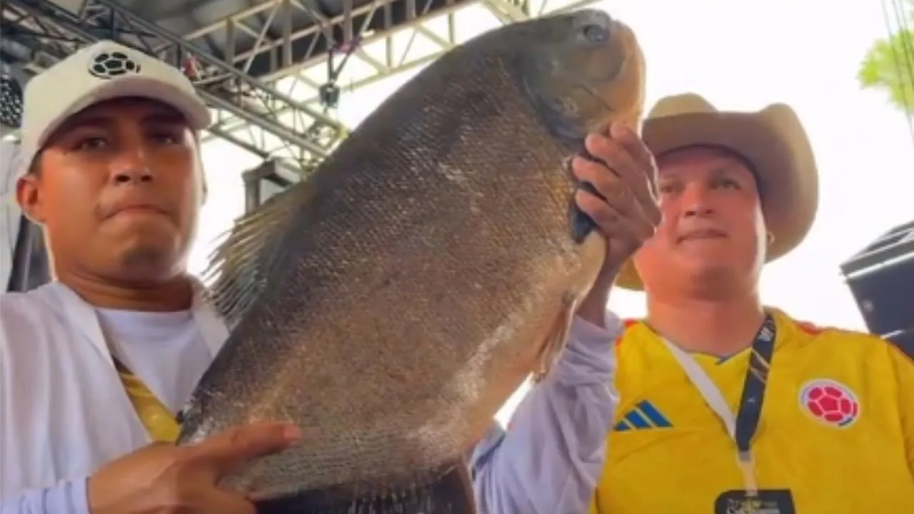 ¿El pescado más caro del mundo está en Colombia? Pagaron millones ¿El pescado más caro del mundo está en Colombia? Pagaron millones por el impresionante animal