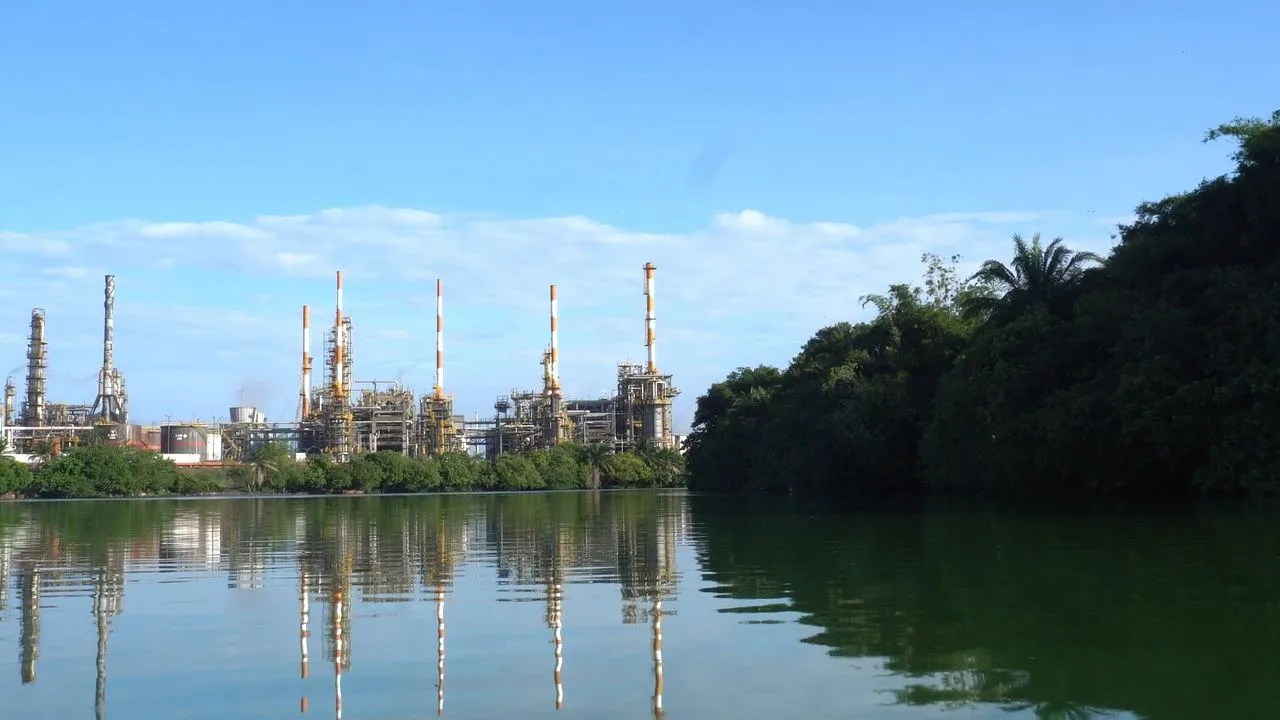 El petróleo quiere ser verde en Colombia El petróleo quiere ser verde: historia de transformación que se abre paso en el Magdalena Medio