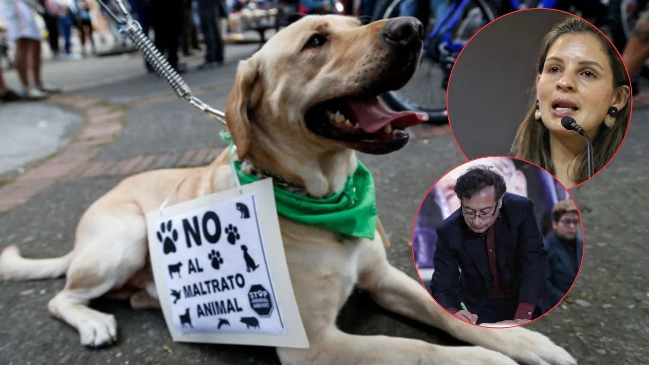 El presidente Gustavo Petro sancionó ley que regula a cuidadores de animales Sancionaron la Ley Kiara: pone límites para paseadores de perros y establecimientos de animales