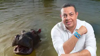 El secretario de Ambiente de Barrancabermeja, Leonardo Granados habló con Minuto60 Un hipopótamo les partió las piernas a dos pescadores en Puerto Triunfo: 'Son muy peligrosos'