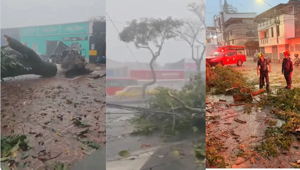 El vendaval dejó árboles caídos e inundaciones en varios sectores de Ibagué. Ibagué pasó de la sequía al vendaval: aguacero, granizo y fuertes vientos causaron estragos