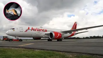 El vuelo hacia Madrid regresó a Bogotá tras la denuncia contra un pasajero. Primicia | Se conoce prueba contundente de pasajero denunciado por acoso sexual en vuelo de Avianca