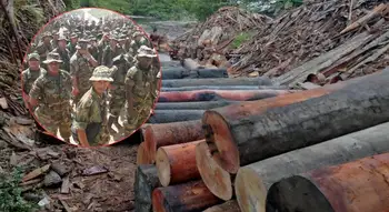 Empresa Maderas del Darién financió paramilitares Maderas del Darién financió grupos paramilitares con dinero de la comunidad