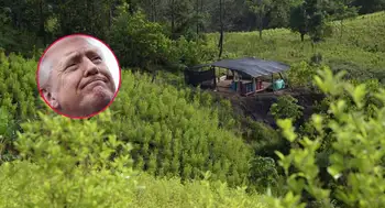 Estados Unidos descertificó a Colombia en lucha contra las drogas ¿Qué pierde y qué gana Colombia tras descertificación de EE. UU. en lucha contra las drogas?