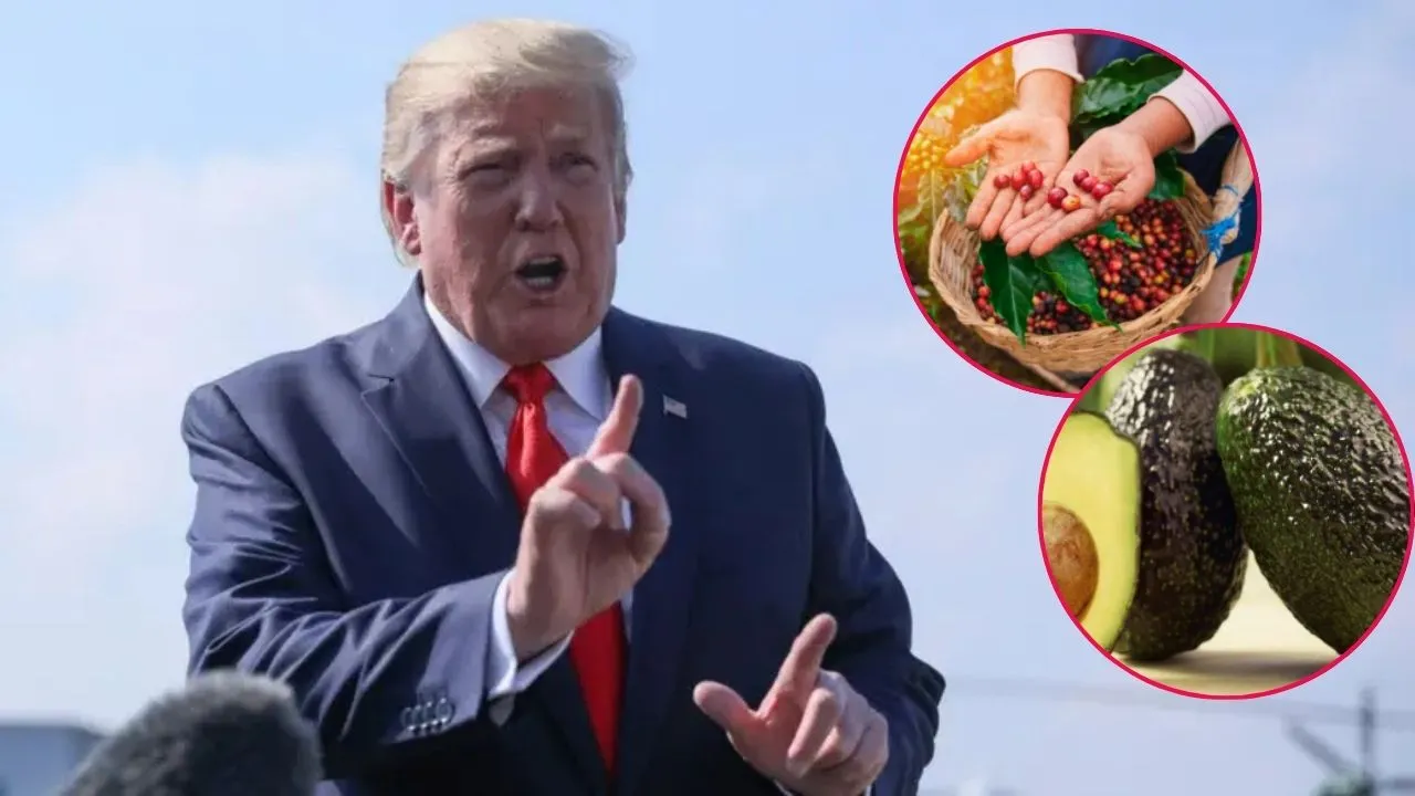 Estados Unidos retiró aranceles a varios productos agrícolas importados. EE. UU. elimina aranceles agrícolas: así impacta a las exportaciones de Colombia