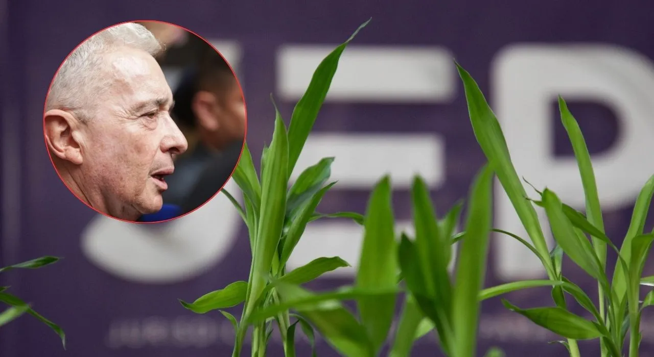Expresidente Uribe no pude ir a la JEP, ¿cuáles son las razones? Presidente de la JEP responde si expresidente Uribe puede comparecer en justicia transicional