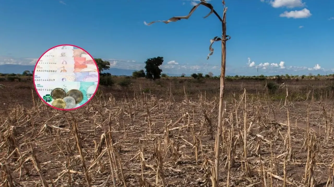 Fenómeno de El Niño finanzas Diez recomendaciones para que el fenómeno de El Niño no afecte sus finanzas