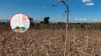 Fenómeno de El Niño finanzas Diez recomendaciones para que el fenómeno de El Niño no afecte sus finanzas