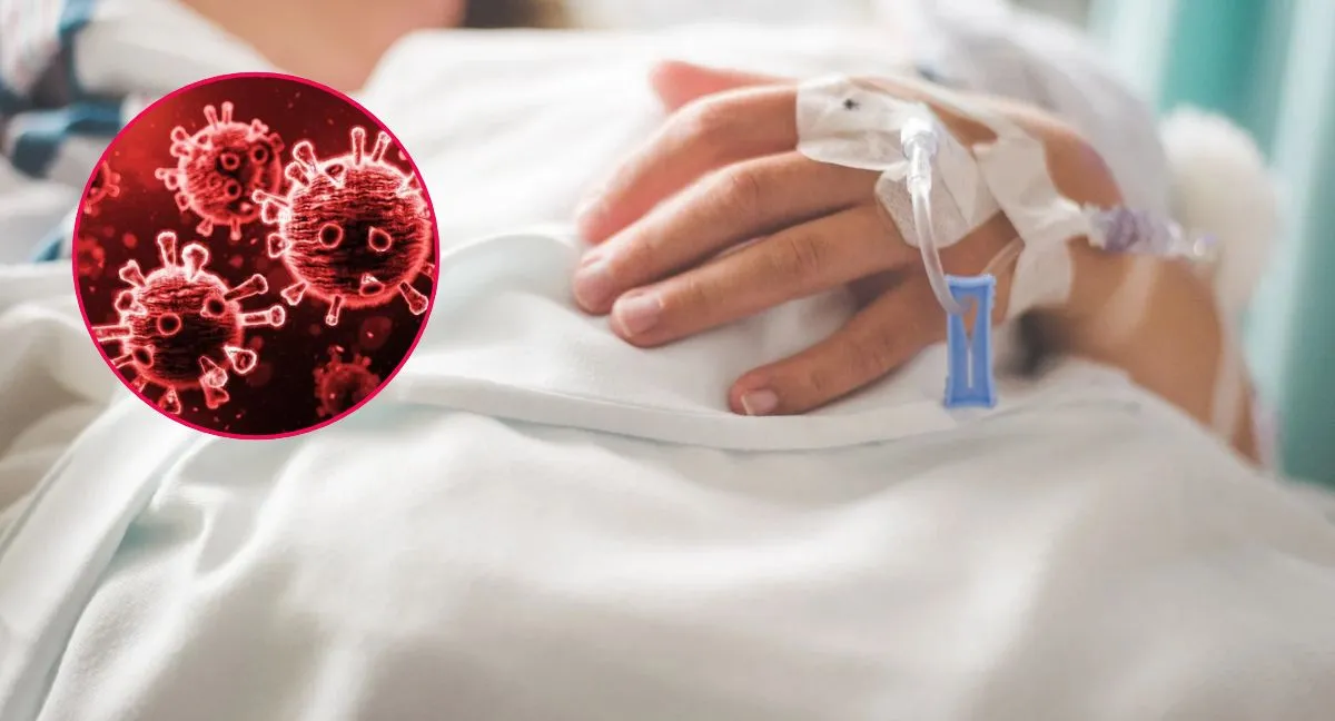 Francia detecta virus Shamonda en humanos por primera vez. Francia confirma fallecimiento del primer hombre infectado del virus Shamonda ¿Qué tan peligroso es?