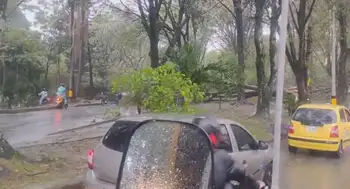 Fuerte aguacero colapsa la movilidad en Medellín. Impresionante aguacero en Medellín: reportan caída de árboles e inundaciones en varios sectores