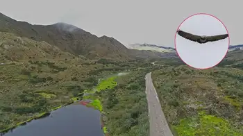 Campesinos beneficios bogotá El plan de Bogotá para salvar sus páramos: campesinos recibirán incentivos por cuidar el agua