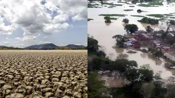 Cambio Climático Colombia El planeta se recalienta: así está afectando el cambio climático a Colombia y su agricultura