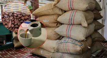 Café Día Mundial del Café: Colombia rompe récord en ventas