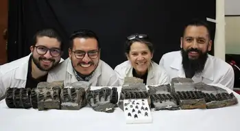 Hallazgo Hallan en Boyacá fósil del tiburón gigante más antiguo del mundo