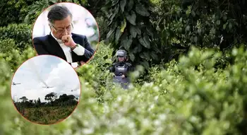 Aspersión aérea con glifosato Debate: Las razones de volver a la fumigación aérea en cultivos ilícitos