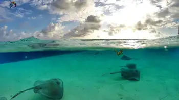 Cayo Acuario San Andrés pierde temporalmente uno de sus cayos más visitados por daños ambientales
