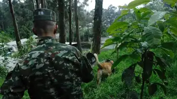 ¿No están secuestrados? Esto dijo alcalde de El Retorno, Guaviare, sobre 34 militares ¿No están secuestrados? Esto dijo alcalde de El Retorno, Guaviare, sobre 34 militares