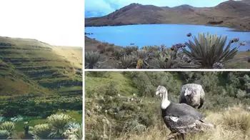 Paramo Bijagual El páramo poco conocido en Boyacá para respirar aire puro y conocer cascadas