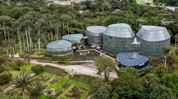 Estéreo Botánico - Jardín Botánico 'Estéreo Botánico': el evento con el que el Jardín Botánico celebra sus 70 años en medio de música, emprendimiento y cultura