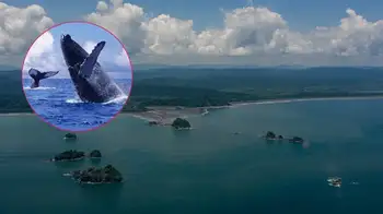 Alerta tsunami Chocó Finalizó la alerta de tsunami en departamentos del pacífico colombiano