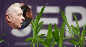 Expresidente Uribe no pude ir a la JEP, ¿cuáles son las razones? Presidente de la JEP responde si expresidente Uribe puede comparecer en justicia transicional