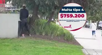 Hombre orinando en la calle en Bogotá ¿Bogotá convertida en un baño público? Miles de sanciones por mala conducta