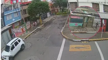 Niña atacada por pitbull en Bogotá Brutal ataque de perro de raza potencialmente peligrosa por poco cobra la vida de niña en Bogotá
