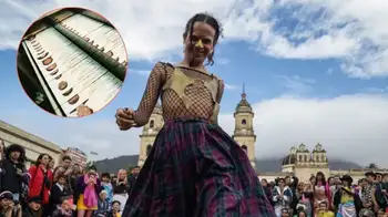 Cambio de nombre para personas trans El llamado de atención de la Corte por el cambio de nombre a personas transgénero